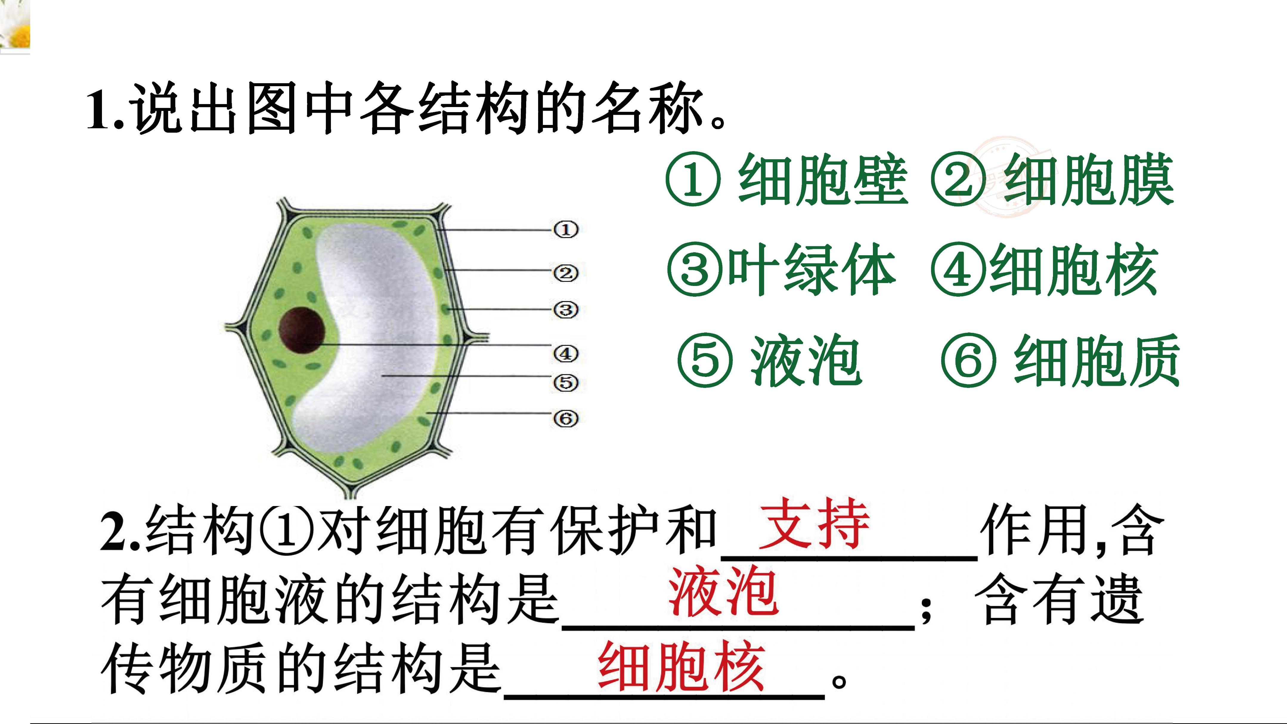 小升初初中生物怎么学好(小学启蒙和初中生都适用的方法)