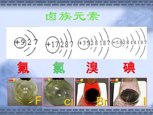 高中化学卤素有哪些