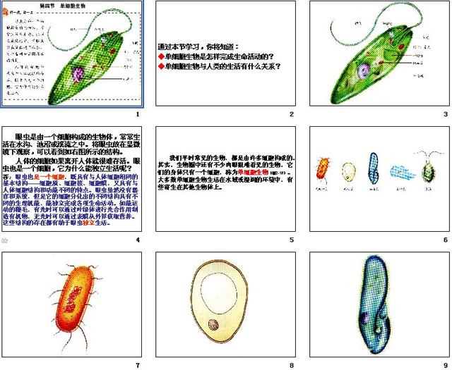 初中什么生物好学点儿(父母必看系列学习)