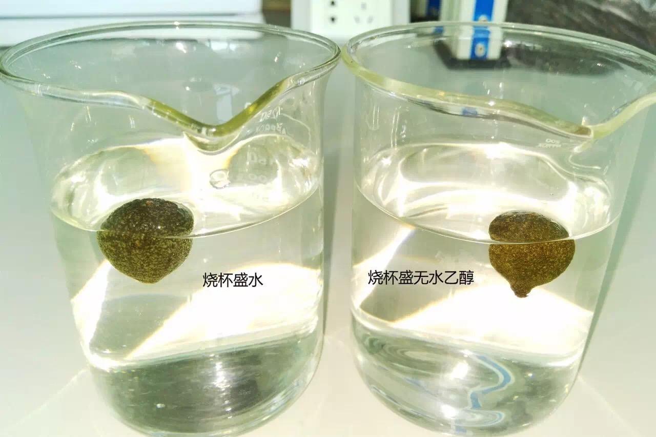 高中哪些生物实验必考