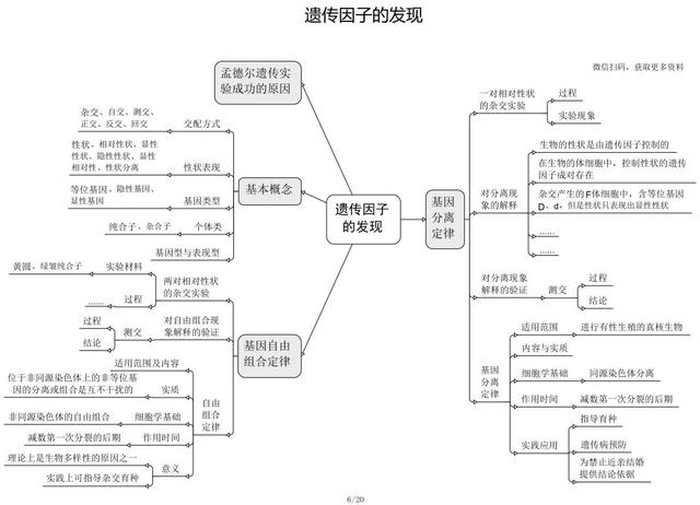 高一如何学好生物