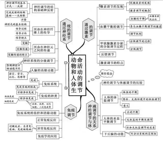 高中生物怎么进行二轮复习(二轮复习把握好机会)