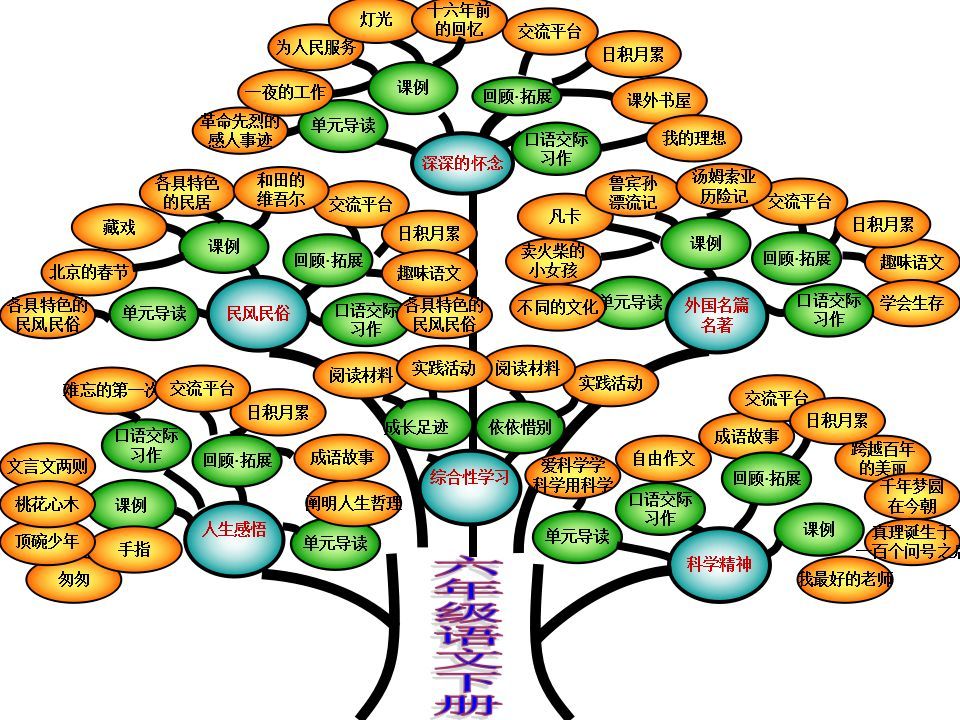 6年级怎么学语文（这么学语文大有好处）