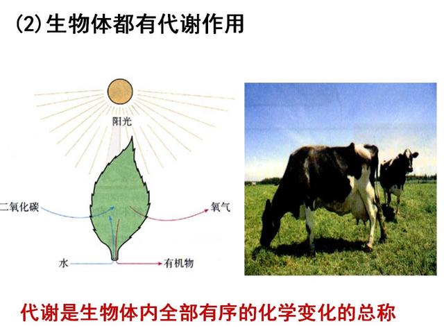 初升高衔接为什么很重要