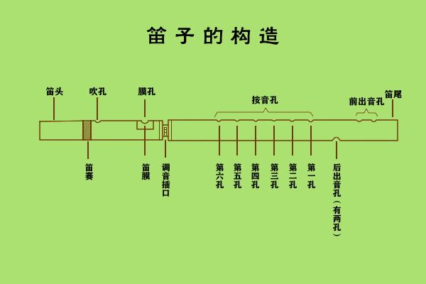 初中物理笛子靠什么振动(吹笛子发声原来是这样)