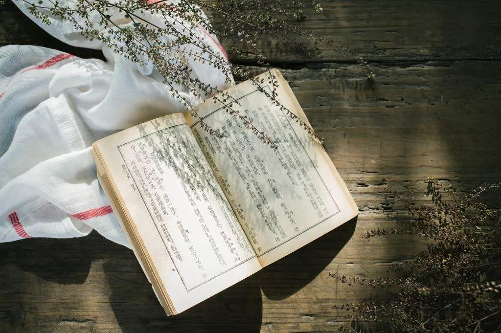 小学语文背什么对初中有用
