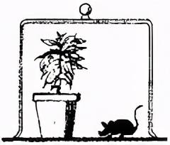 如何提高理综生物做题速度