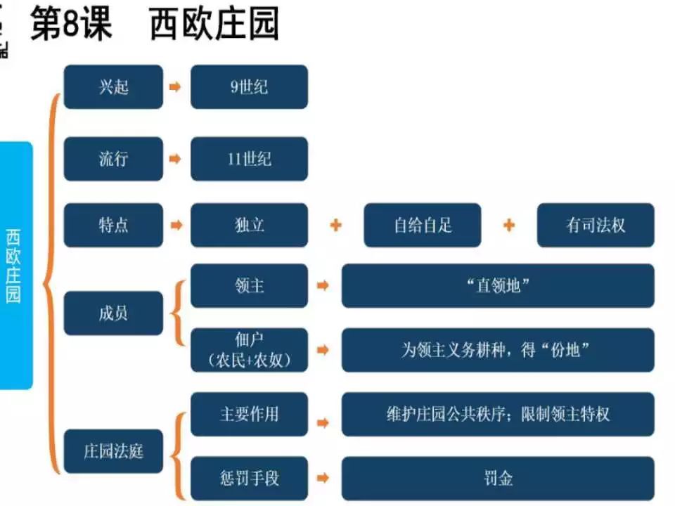 初中八年级政治怎么学