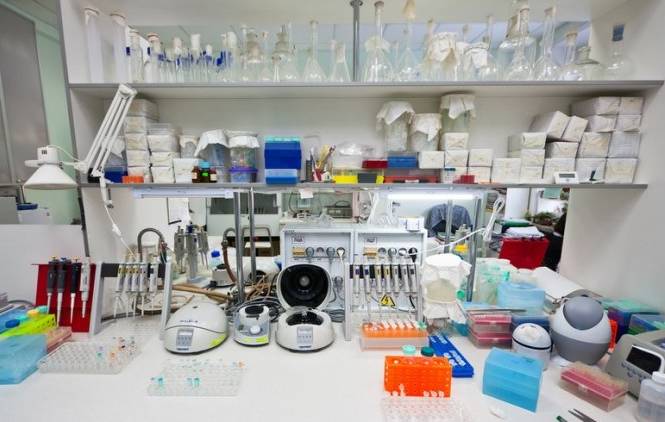 物理生物政治组合的优缺点是什么