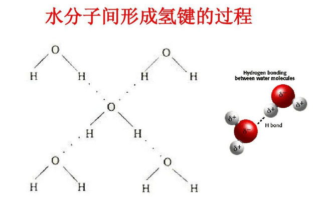 高中化学哪些有氢键(氢键的类型和作用)