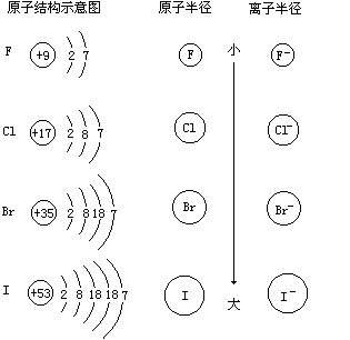 初中化学铁能转化成什么(铁离子和亚铁离子的转化)