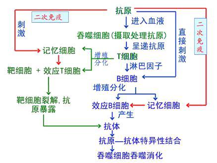 高中生物疾病和病因有哪些