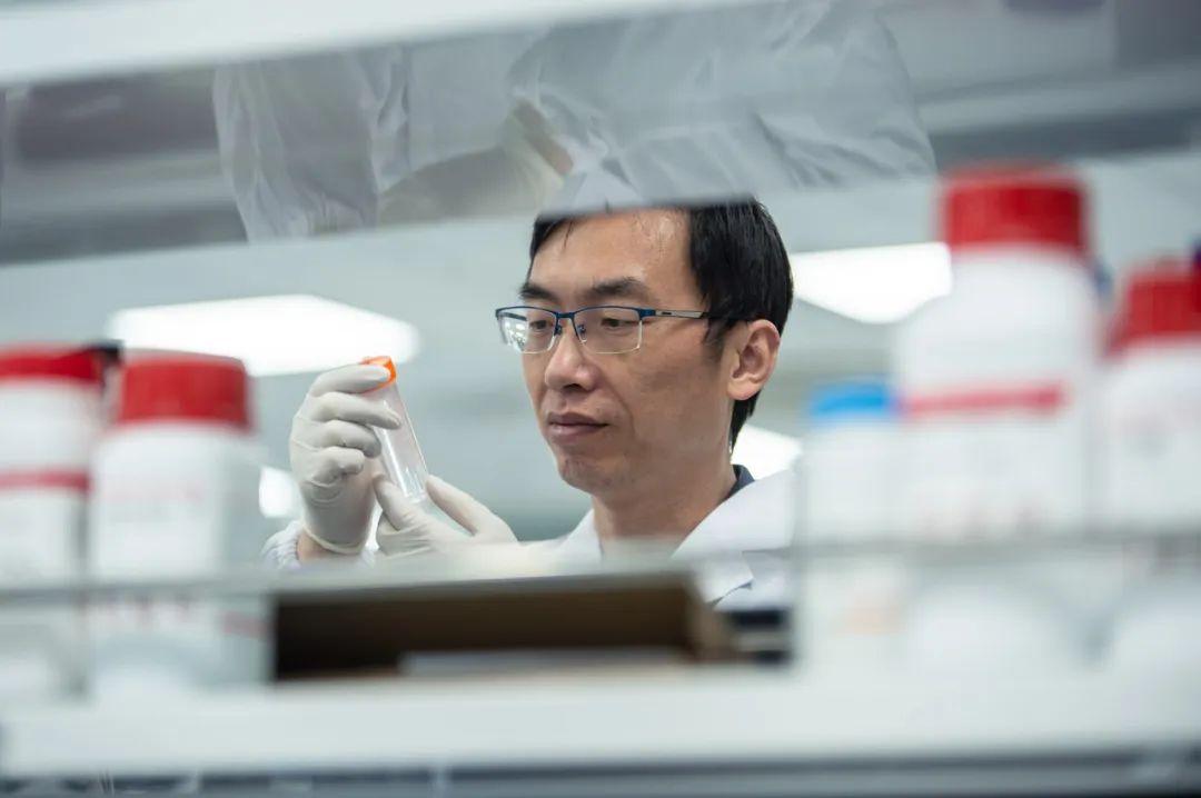 生物化学h因子多少才算高(1分钟教你如何看懂升化化验单)