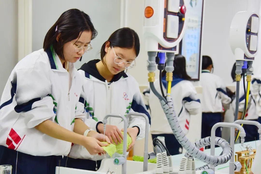 如何提高生物实验课效率