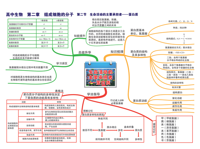 高中生物怎么学才能及格(高中生物这六步一步都不能少)