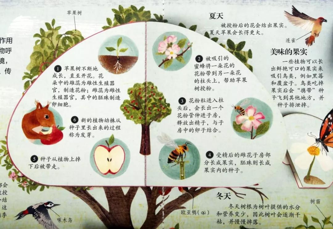 高中怎么才能对生物开窍