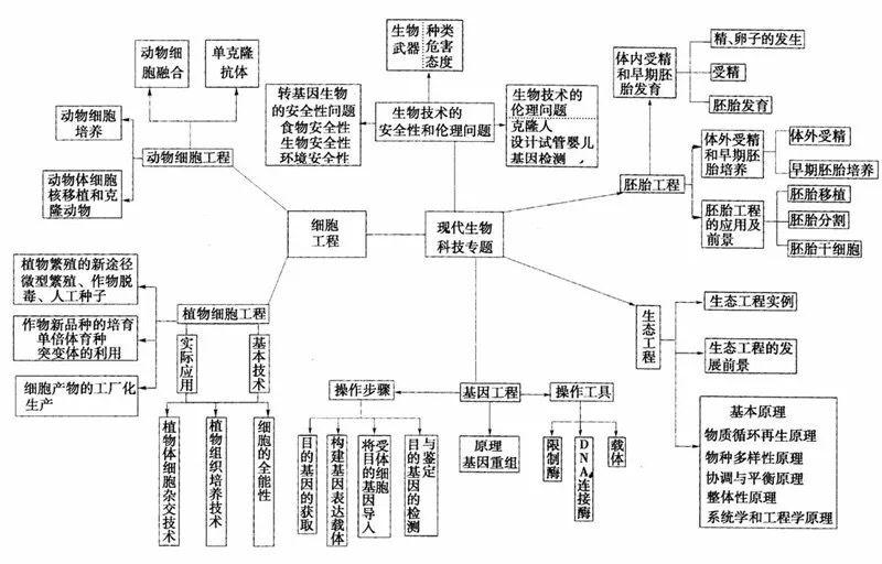 初三生物多少算满分(中考满分)