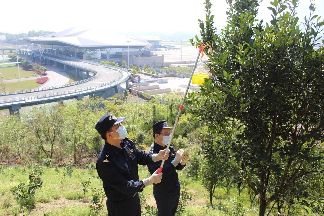 八年级生物差如何提高(初二生地这样逆袭)