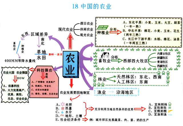 小学如何学初中地理化学(初中生物启蒙)