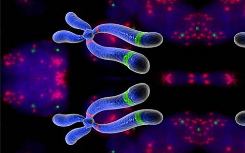 高中生物疾病和病因有哪些(医学科普知识分享)