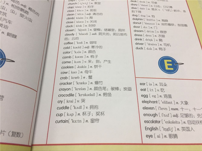 小学生为什么要背英语单词(小学英语单词)