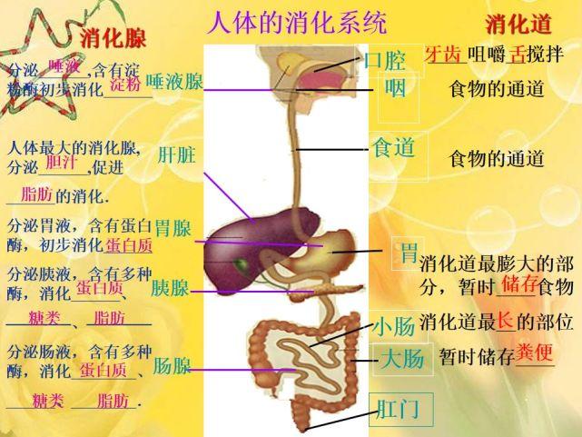 每天一道初中生物题目怎么样(初中生物知识点)