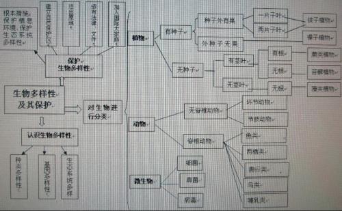 初一生物薄弱怎么提升(初中生物学霸秘籍)