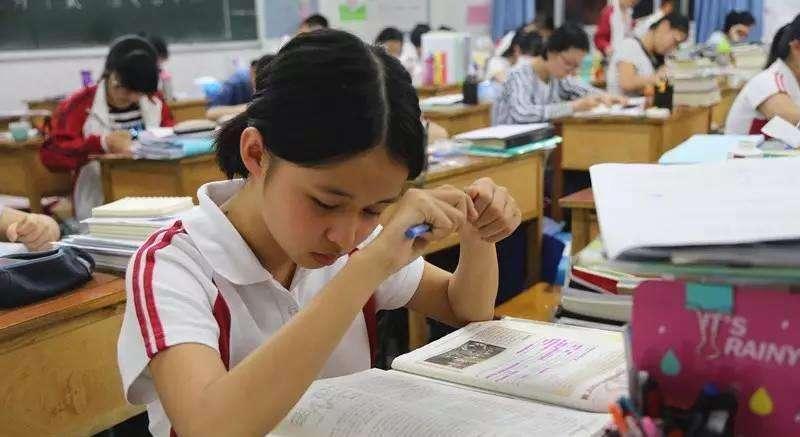 5岁半可以学数学吗为什么