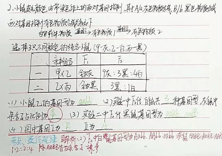 高中生物怎么做错题分析(聪明化学方法：分子式大爆料，多肽化合物猜猜多少个肽键？)