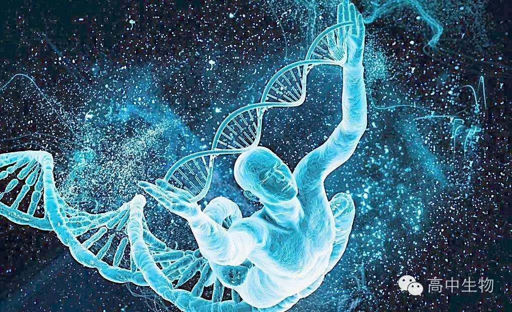 为什么高中不喜欢生物(学生物好还是学化学好？)
