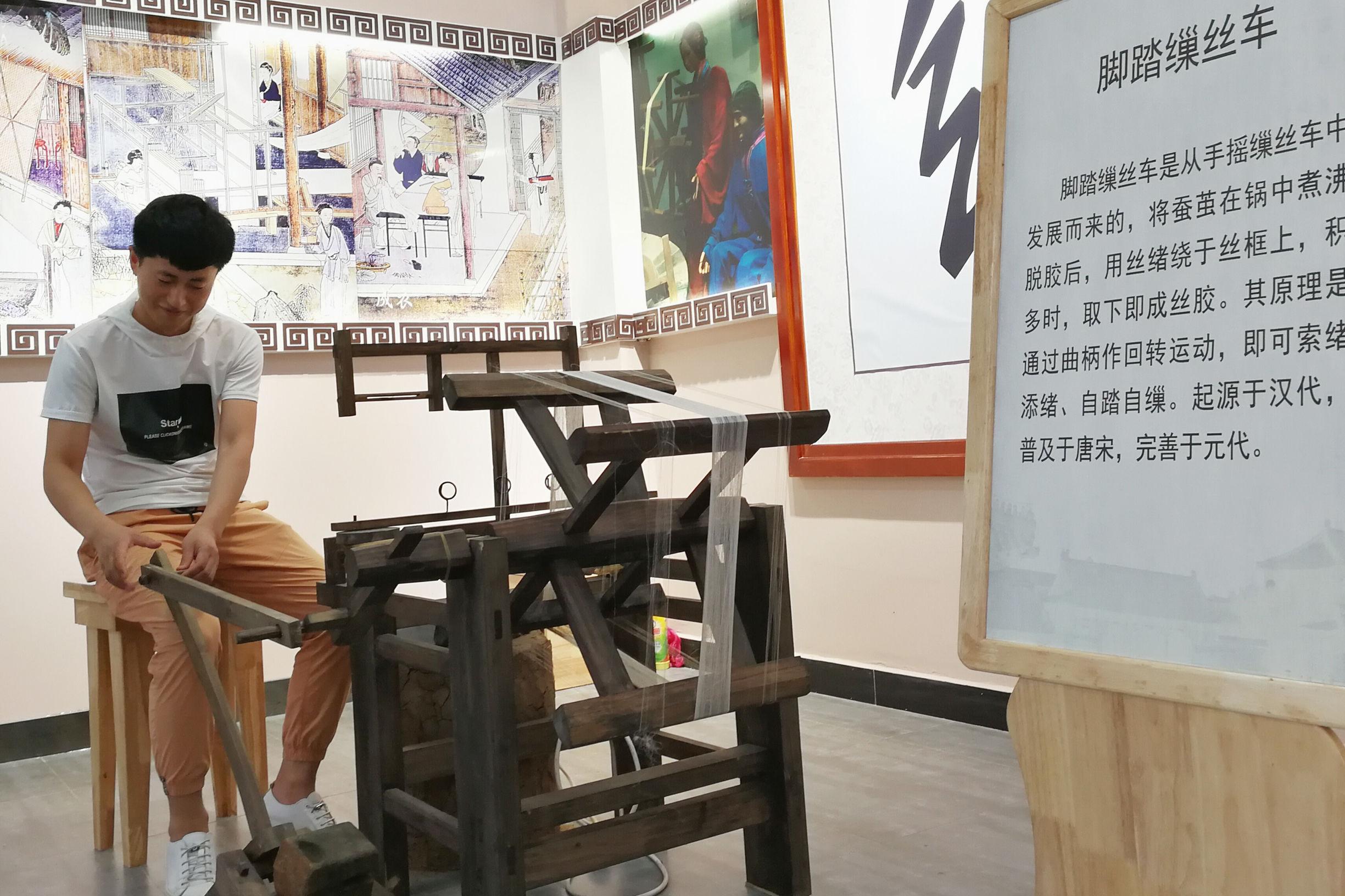 八年级生物蚕什么时期羽化("家蚕的生殖发育有个隐秘！")