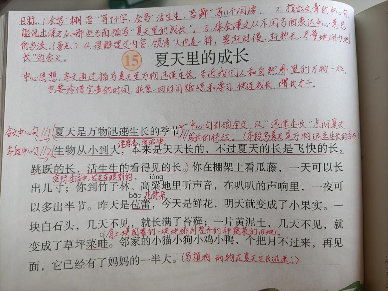 怎么样学语文(家长语文学习规划又犯大忌！)