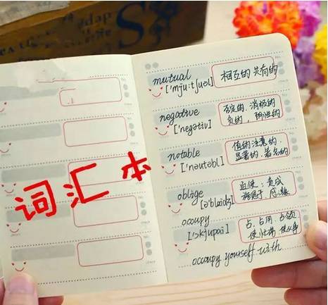 小孩为什么记不住英语单词(揭秘小学英语成功秘诀，别再忽视这个关键点！)