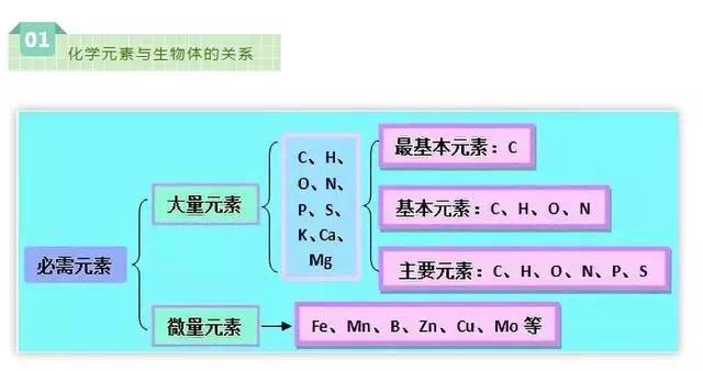 高中生物难点是哪个(高中遗传学难题攻略，李玲老师助你高考生物脱困)
