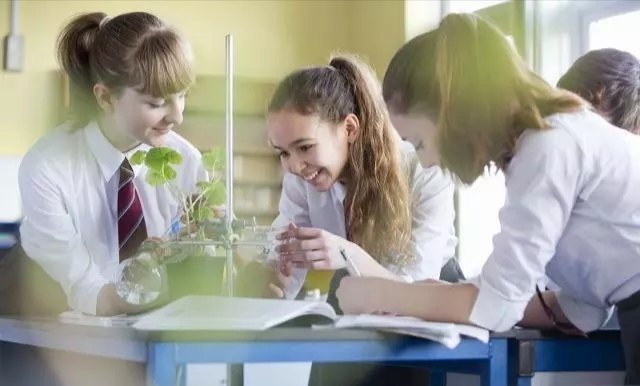 怎么学好八年级数学的函数(秒杀一次函数解析式，绝不用老套路！)