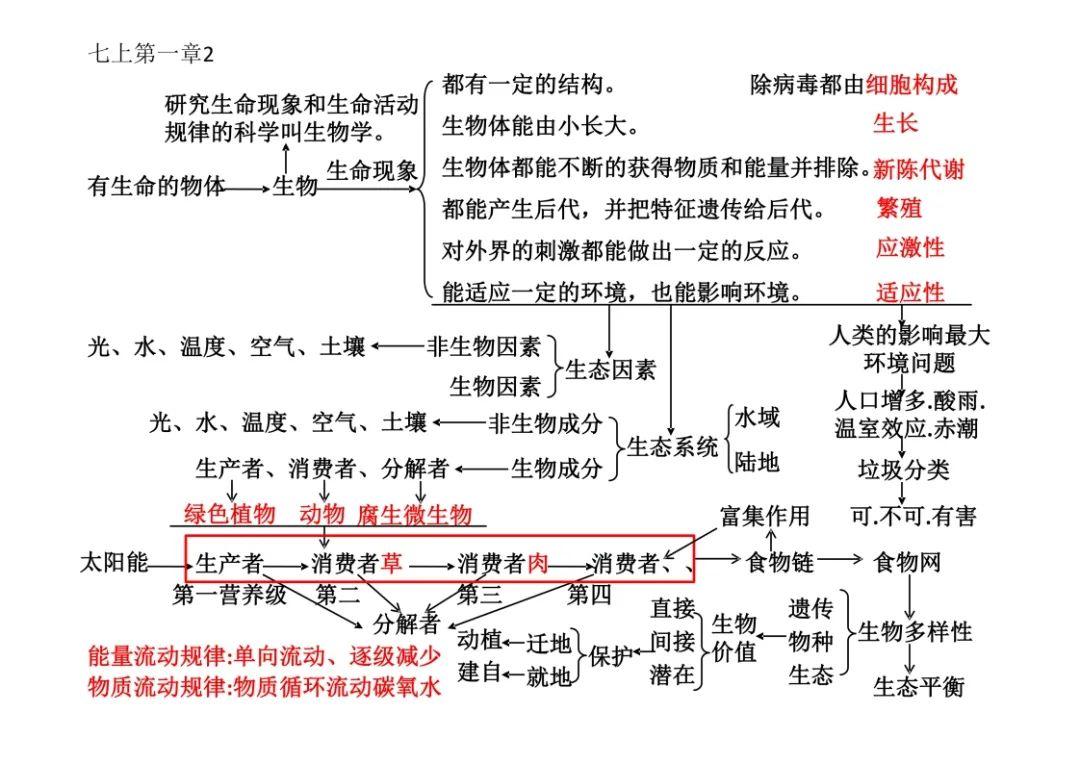 怎么快速提高中考生物成绩