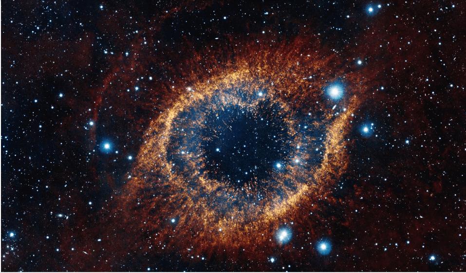 比宇宙还高的生物有哪些(身高增加一倍，体重竟涨八倍？揭秘生物身高与体重的神奇关系！)