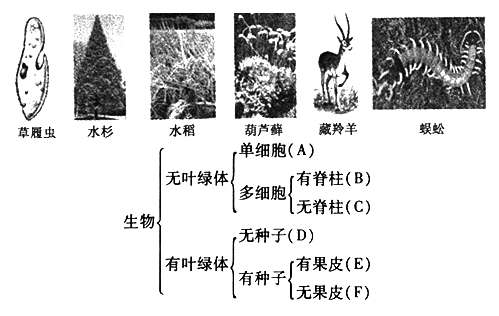 初中听不懂生物怎么办(初中生物终极攻略！零基础秒懂，听不懂也out了)