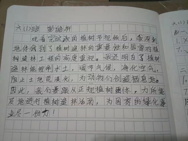 如何保护环境的作文(环保新招！揭秘高效作文技巧，轻松写出感人保护环境之作)
