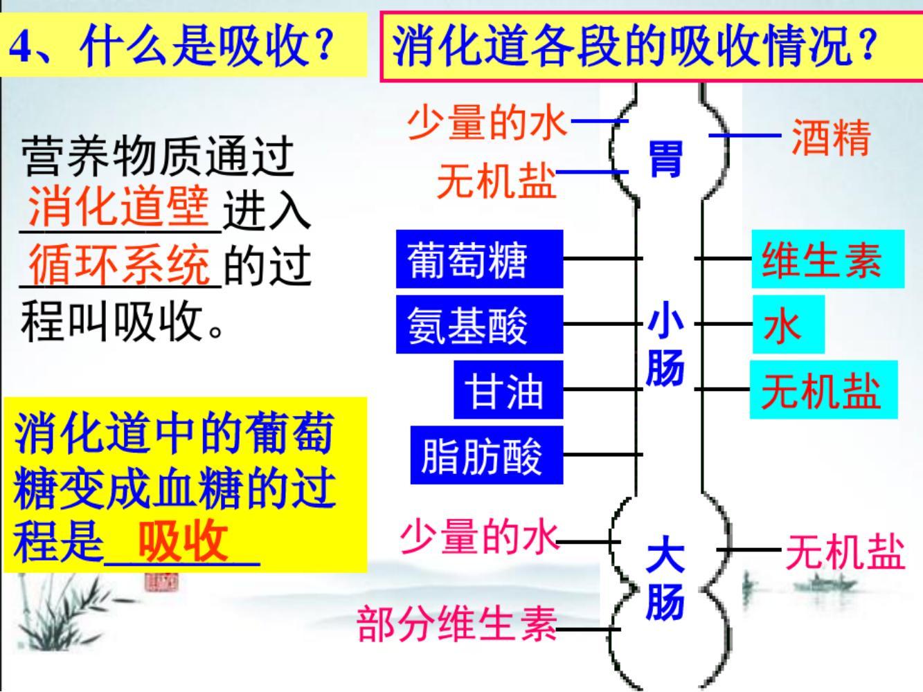小升初要怎么提前预习生物(预习小升初的生物知识的方法)