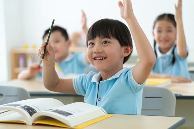 有哪些小学生的学习方法(适用于小学生的学习方法)