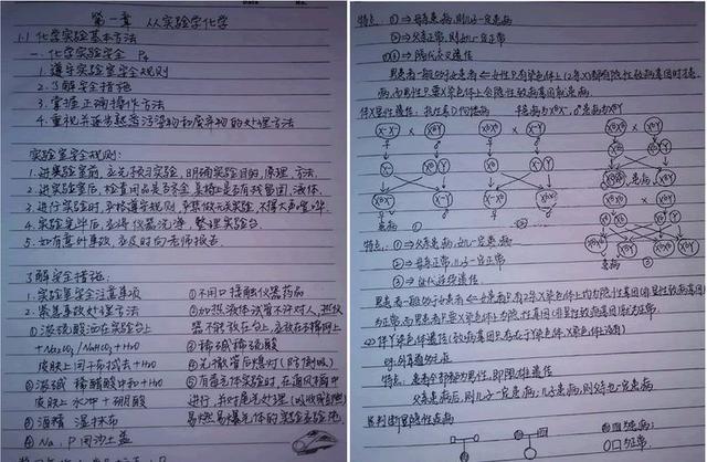 各科学习方法有哪些(常见的科目学习方法)
