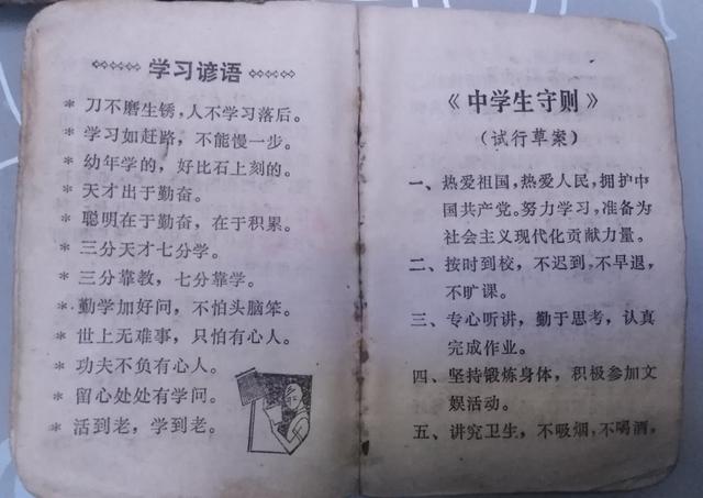 高中学习谚语有哪些(高中学习相关的谚语)