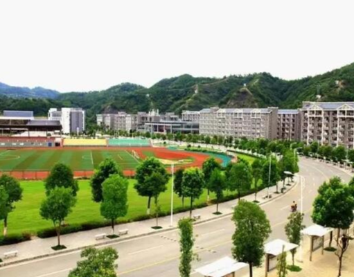 物理有哪些学习方法(学习物理可以采用的方法)