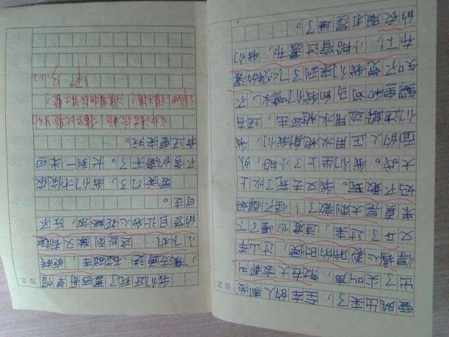 如何写好作文三年级(写好三年级作文的注意点)
