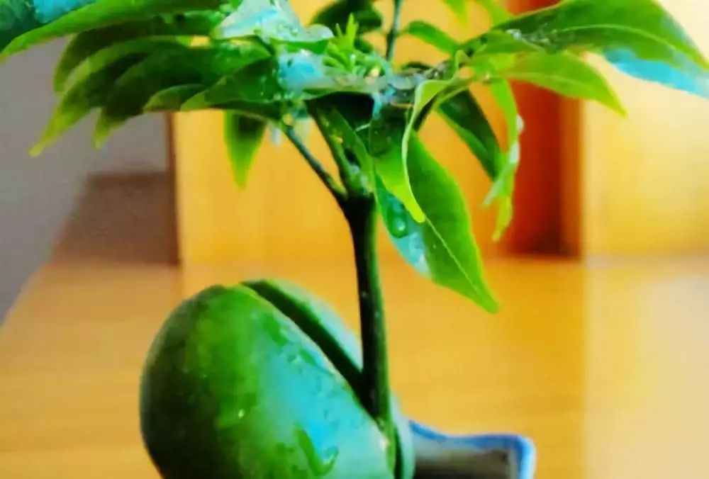 生物因素对生物的影响有哪些(生物因素对生物的影响分享)