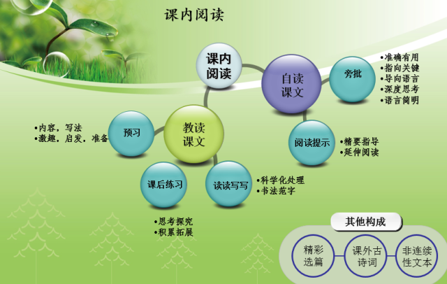 语文有哪些好的学习方法(语文垫底的孩子逆袭方法)