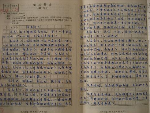 孩子可以考什么初中作文(初中作文的类型)