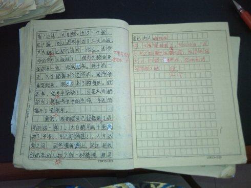 如何锻炼作文能力(提高作文能力的锻炼方法)