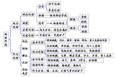 初中生物怎么复习(复习初中生物的步骤)